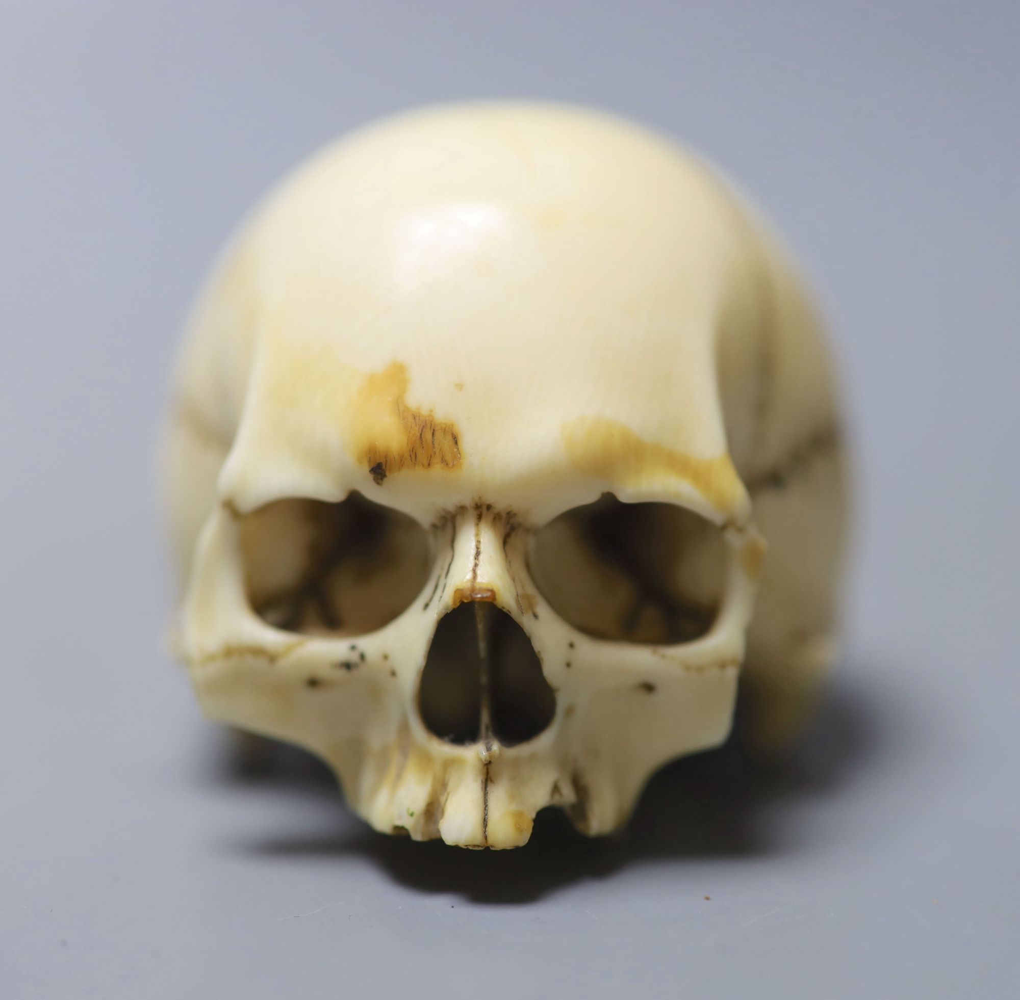 A 19th century ivory model of a human skull, height 5cm, 7cm long, lower jaw lacking